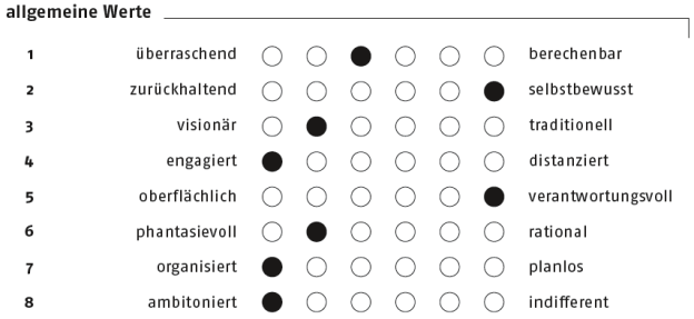 Polaritätenprofil für ein Buch. Das Buch hat den Titel ›DVD-Produktionen gestalten, erstellen und nutzen – DVD interaktiv: Erzählformen, Wissensvermittlung und e-Learning mit DVD, Blu-ray Disc und HD DVD‹ und erschien 2006 bei Springer Science+Business Media. Das Buch richtet sich an Autoren im weitesten Sinne (Designer, Filmer, Fotografen, Künstler, Wissenschaftler) und an DVD-Entwickler mit Interesse an Gestaltung.