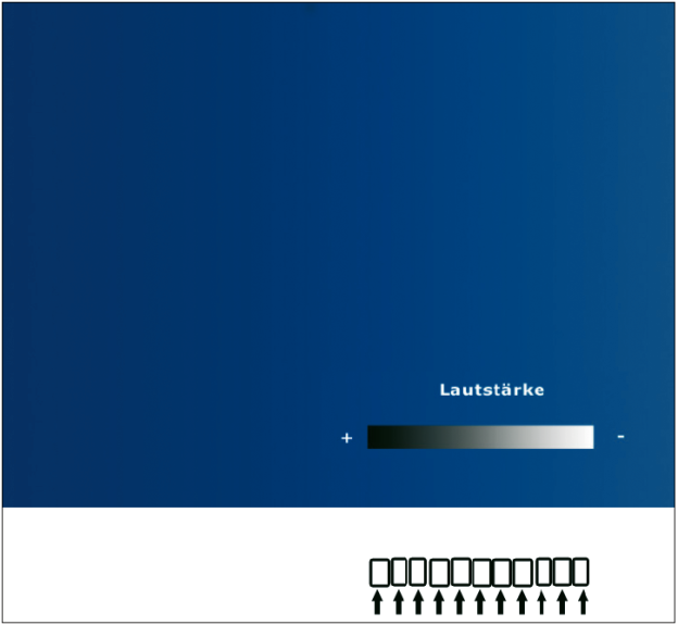Die Abbildung zeigt einen Schieberegler, so wie er für eine interaktive DVDVideo-Produktion vorbereitet würde, inklusive der Masken (unterhalb des Screenshots dargestellt) für die einzelnen Marken, in die man per Pfeiltasten auf der Fernbedienung wechseln müsste. Zudem müsste jede Position mit der ›Enter-Taste‹ bestätigt werden, um den Regler jeweils eine Position weiter zu bewegen. Eine dynamische Veränderbarkeit ist nicht möglich.