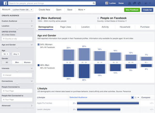 Grafiken der Statistik der Facebook ADs als Insights über Deine Nutzer.